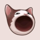 Logo Popcat Kurs in US Dollar