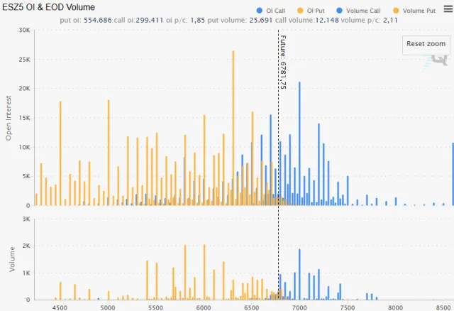 Options Open Interest Profile für den S&P 500