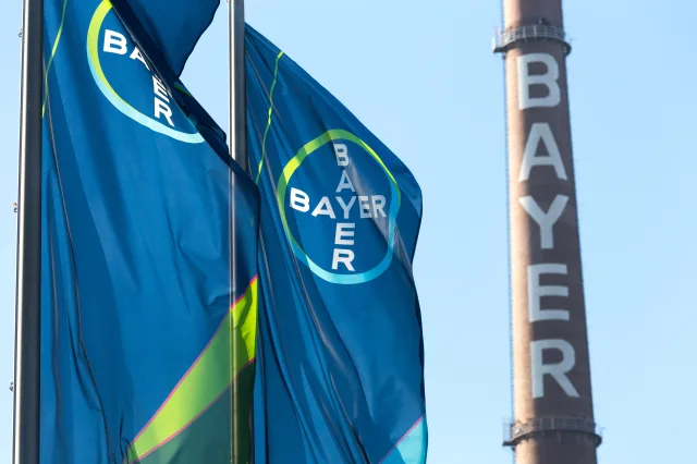 Bayer-Flaggen wehen im Wind.
