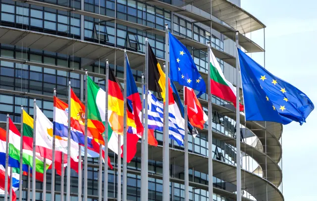 Flaggen der EU-Länder sind zu sehen