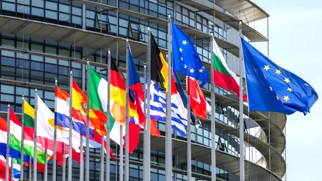 Flaggen der EU-Länder sind zu sehen