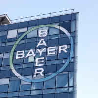 Bayer-Aktie mit Freudensprung - wieder nur ein Strohfeuer?