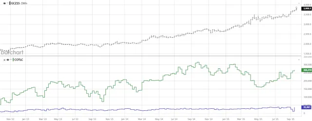 CoT Netto-Positionen Gold