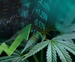 Dax stabil – Über 30 Prozent im Plus: Cannabis-Legalisierung treibt diese deutschen Aktien nach oben