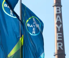Bayer-Flaggen wehen im Wind.