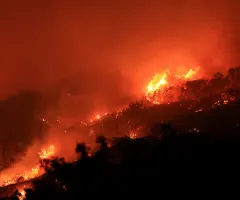 Kalifornien-Waldbrände kosten Versicherer zweistellige Milliardensumme